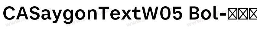 CASaygonTextW05 Bol字体转换